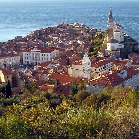 Sea View Istrian Countryside Apartment - Rota Dragonja Экстерьер фото