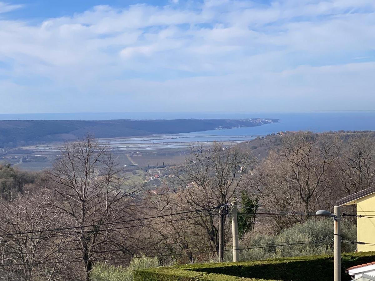Sea View Istrian Countryside Apartment - Rota Dragonja Экстерьер фото