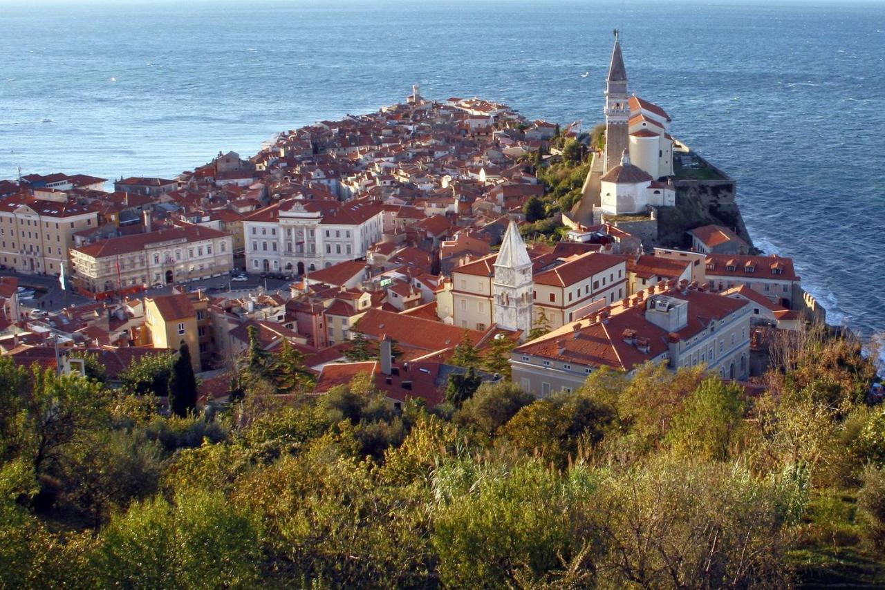 Sea View Istrian Countryside Apartment - Rota Dragonja Экстерьер фото