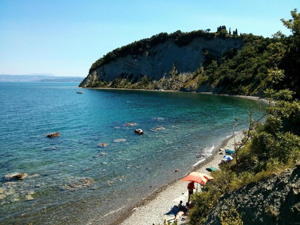 Sea View Istrian Countryside Apartment - Rota Dragonja Экстерьер фото